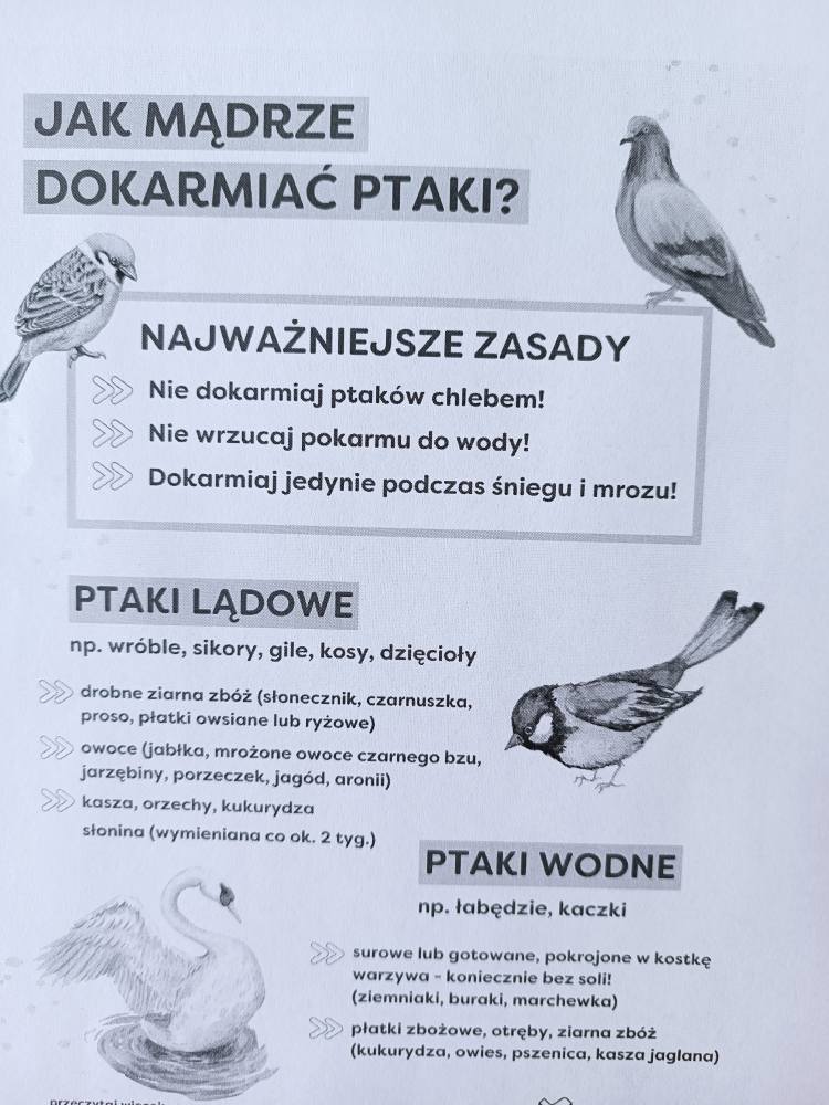 wydruk przedstawiający zasady mądrego dokarmiania ptaków