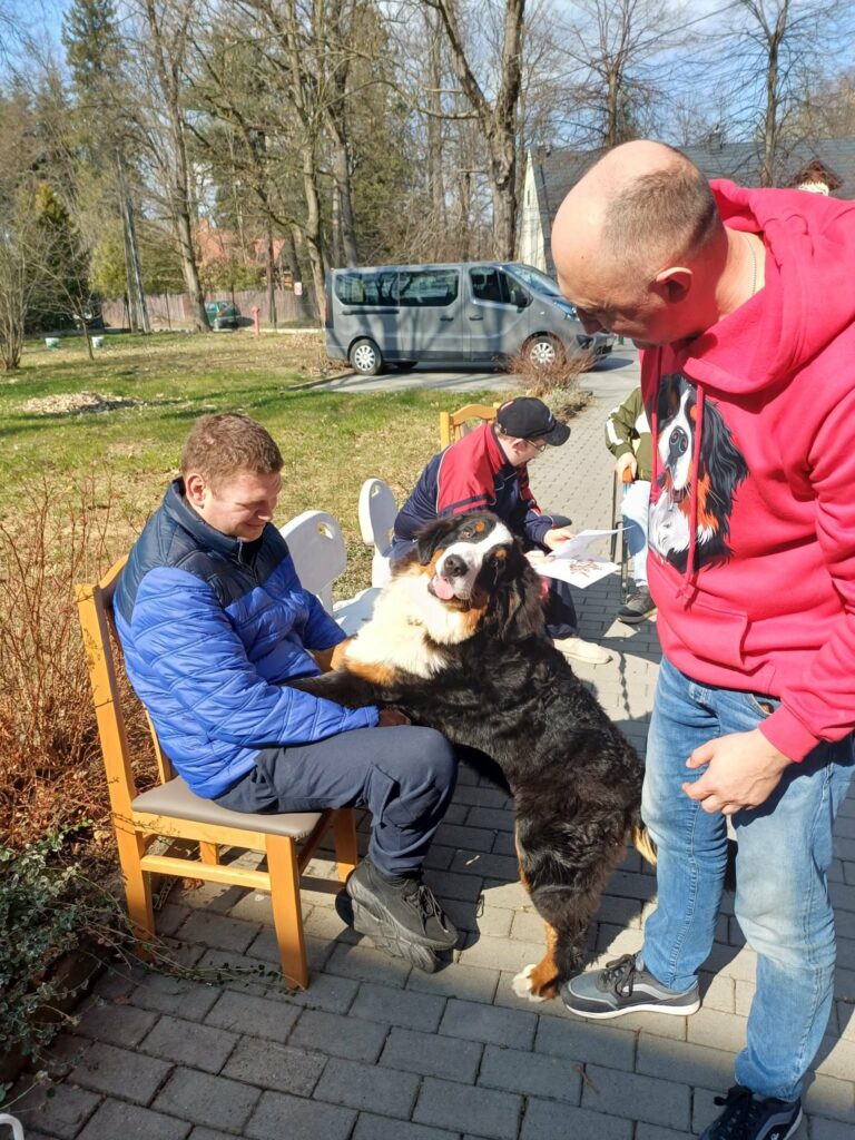 trener nadzoruje interakcję podopiecznego i berneńskiego psa pasterskiego