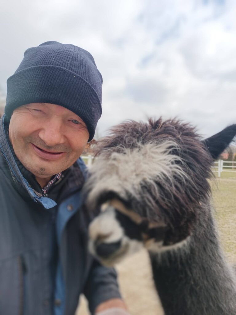 Podopieczny pozuje do zdjęcia z alpaką