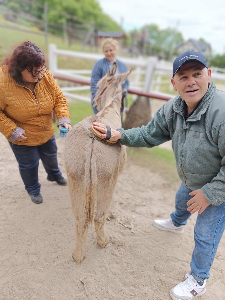 Podopieczni czeszą osiołka