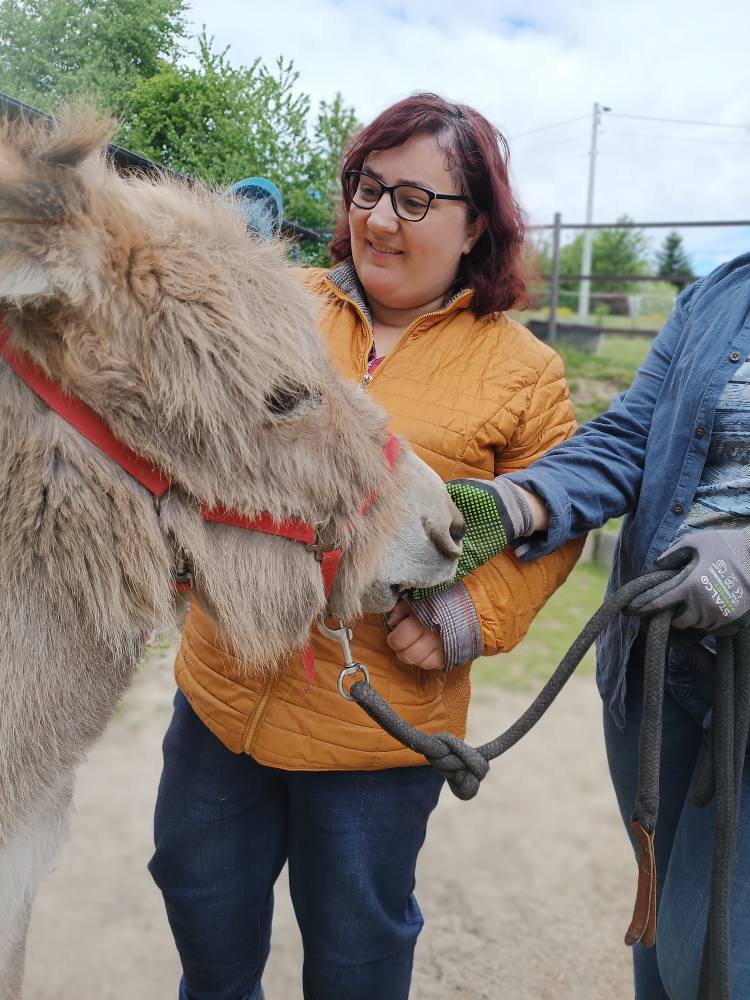 Podopieczni czeszą osiołka