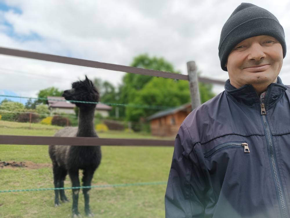 Podopieczny stoi obok zagrody a alpakami