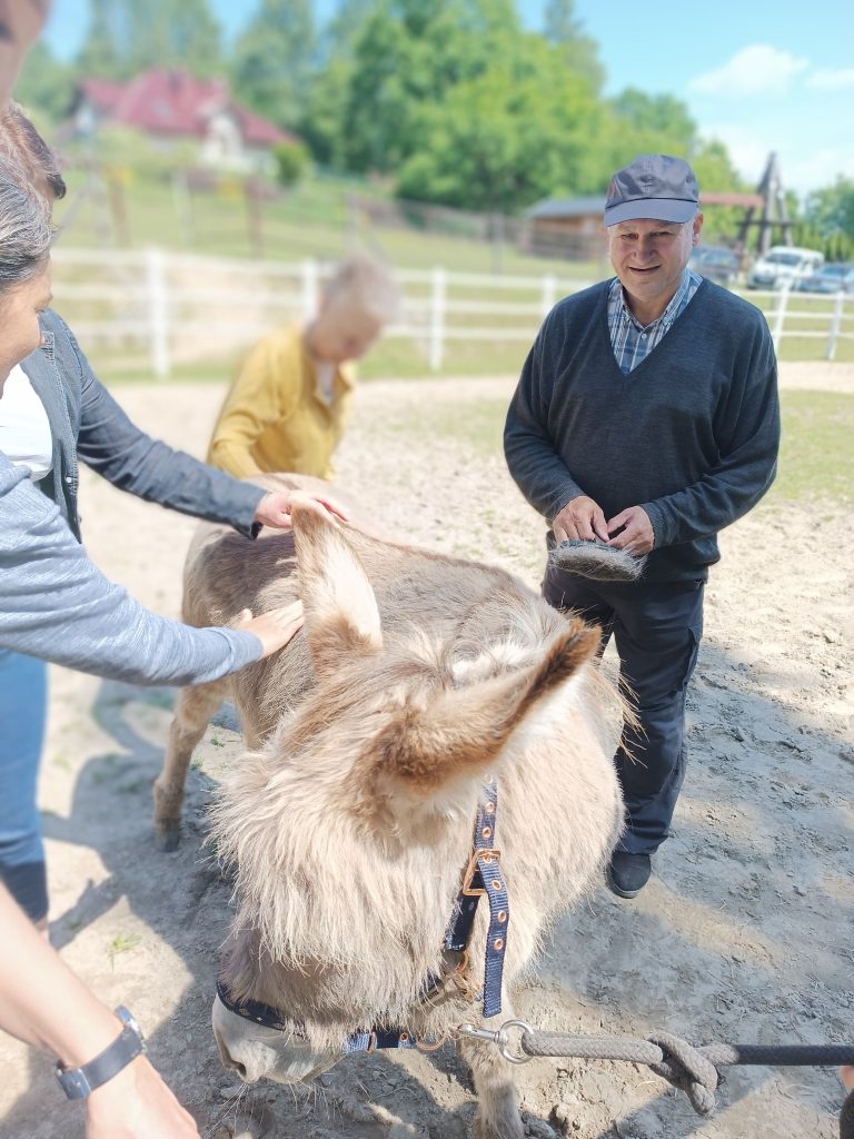 Podopieczni szczotkują osła
