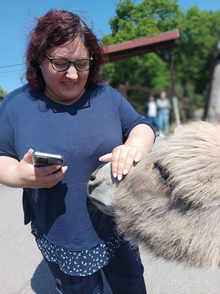 Podopieczna głaszcze alpakę
