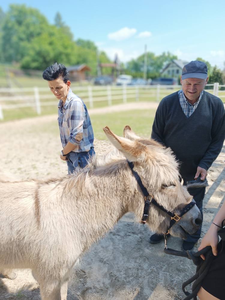 Podopieczny głaszcze osła