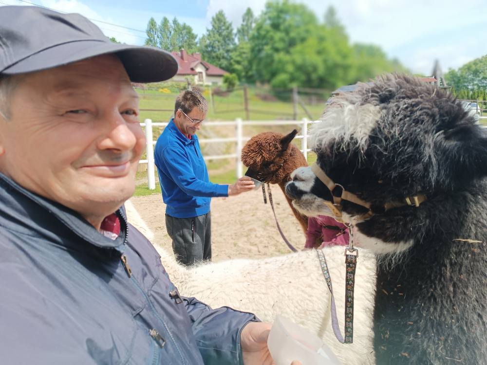 podopieczni pozują z alpakami