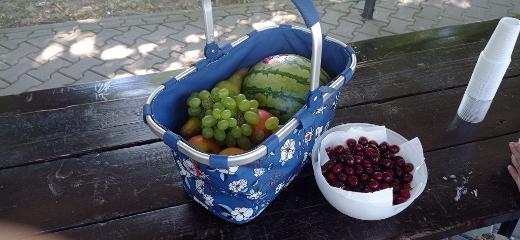 Kosz piknikowy z owocami