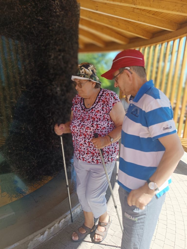 Podopieczni spacerują po tężni solankowej