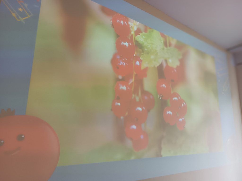 kadr z filmu o owocach - obraz czerwonej porzeczki