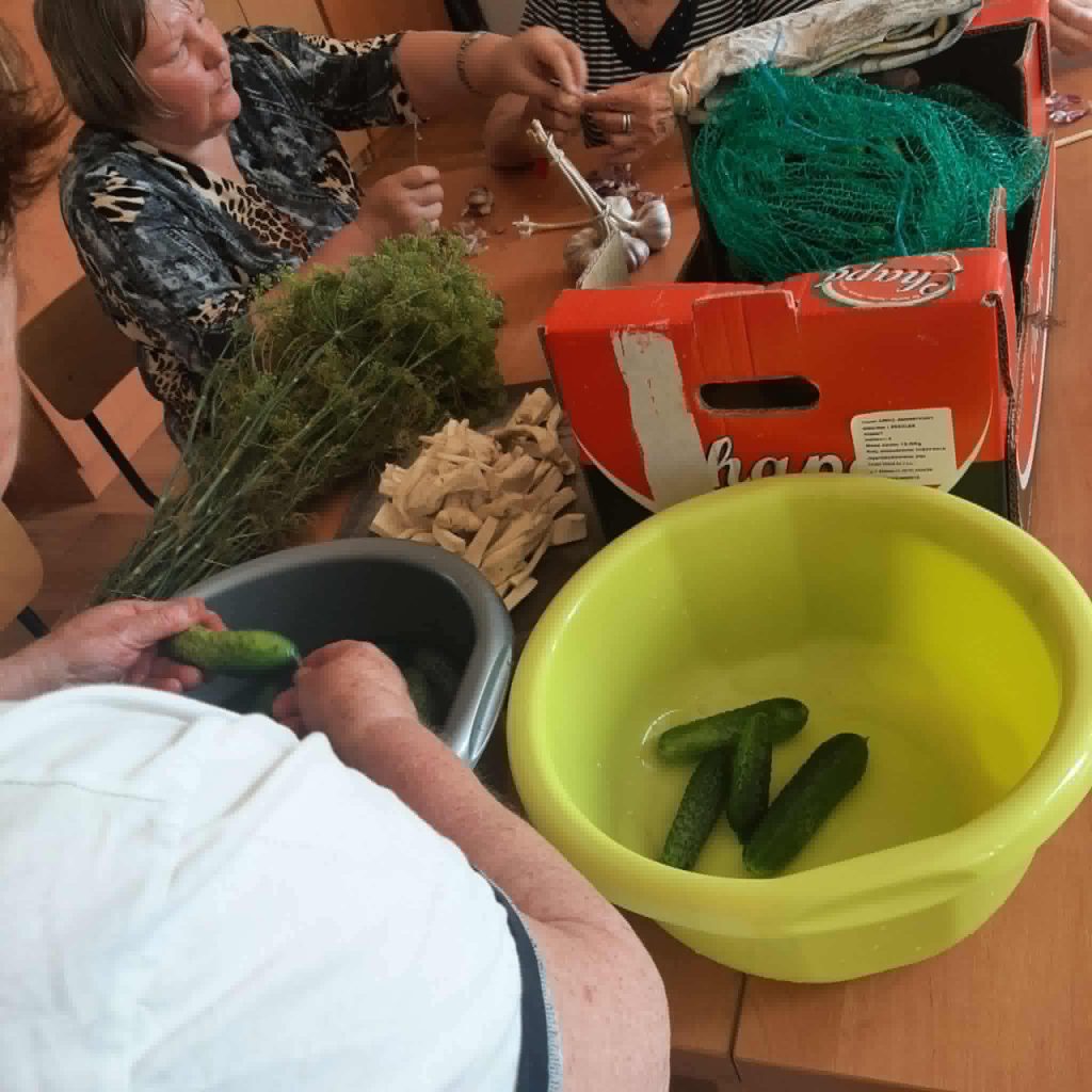 Podopieczne kiszą ogórki