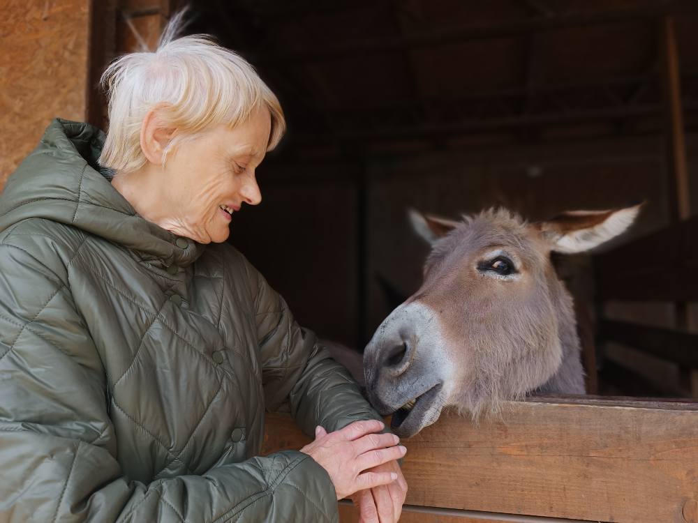 Podopieczna i osiołek