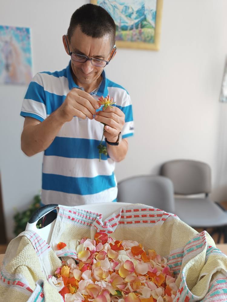 Podopieczny przygotowuje płatki róż do suszenia