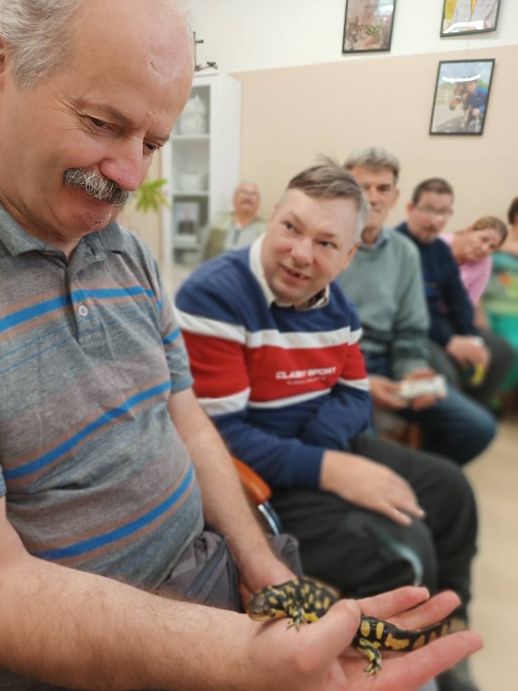 Podopieczny trzyma w rękach salamandrę