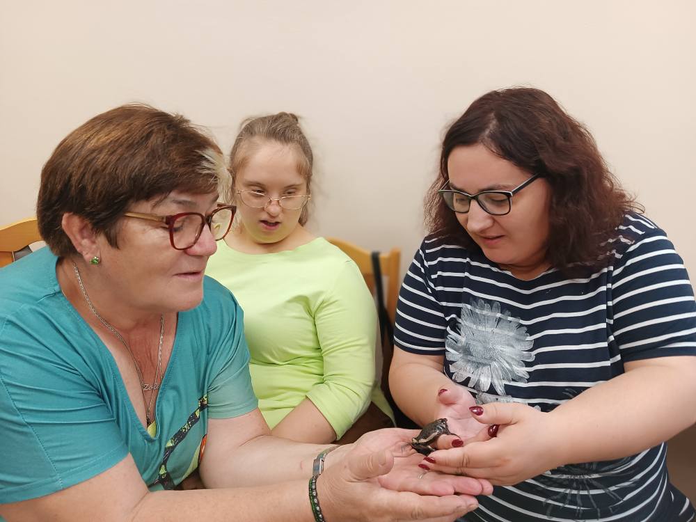 Podopieczne przekazują sobie żabę