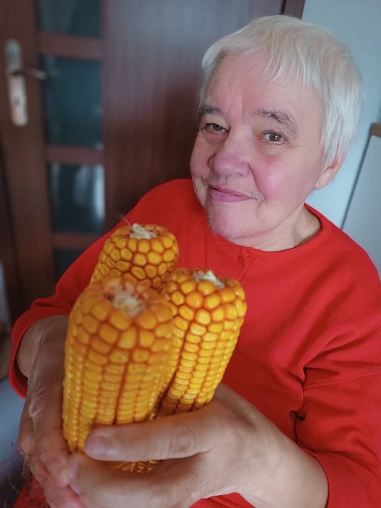 Podopieczna trzyma 3 kolby kukurydzy