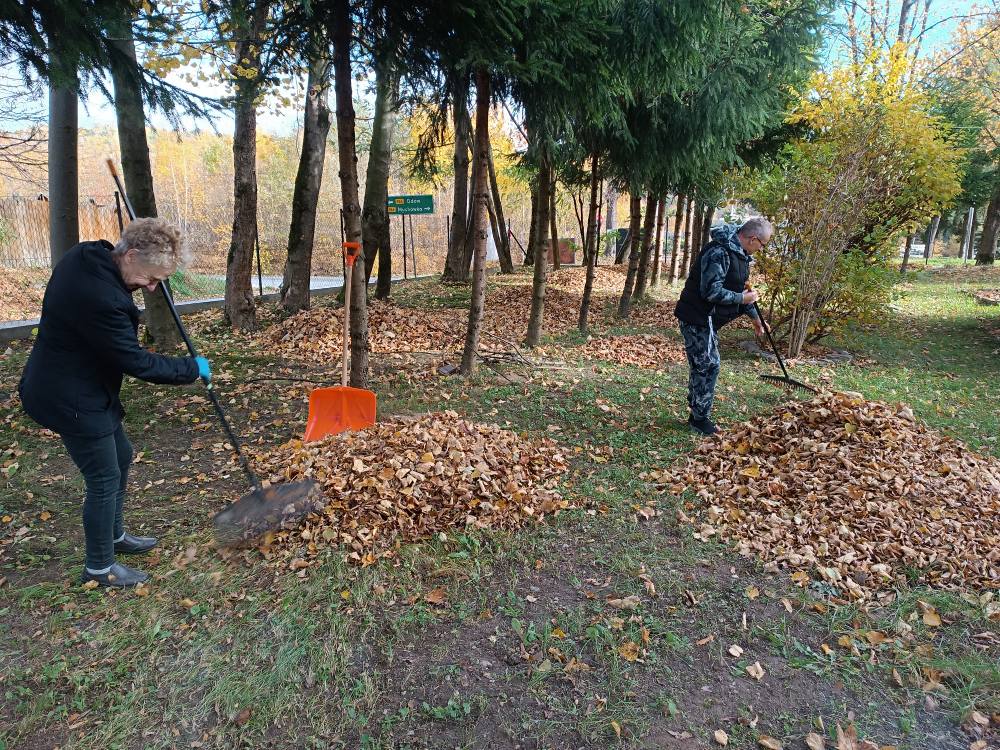 Podopieczni grabią liście
