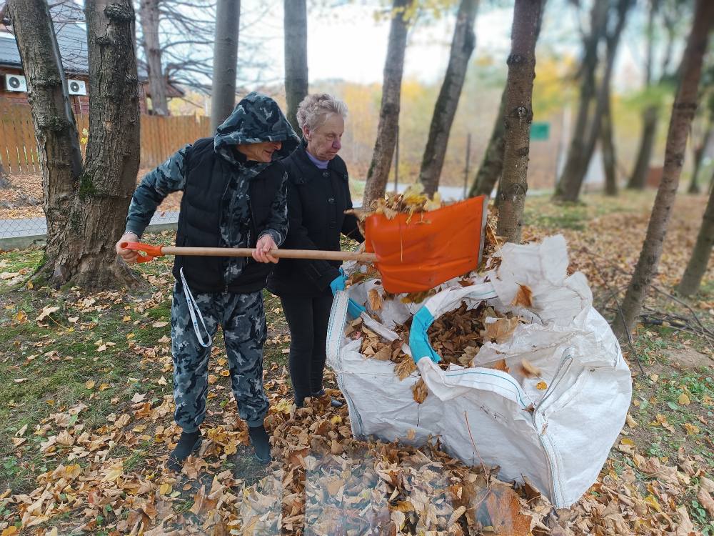 Podopieczni zbierają liście w ogrodzie