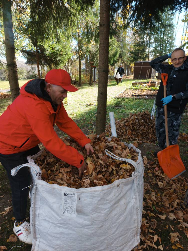 Podopieczni zbierają liście w ogrodzie