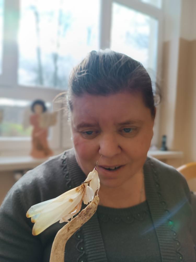 podopieczna trzyma modliszkę na gałązce