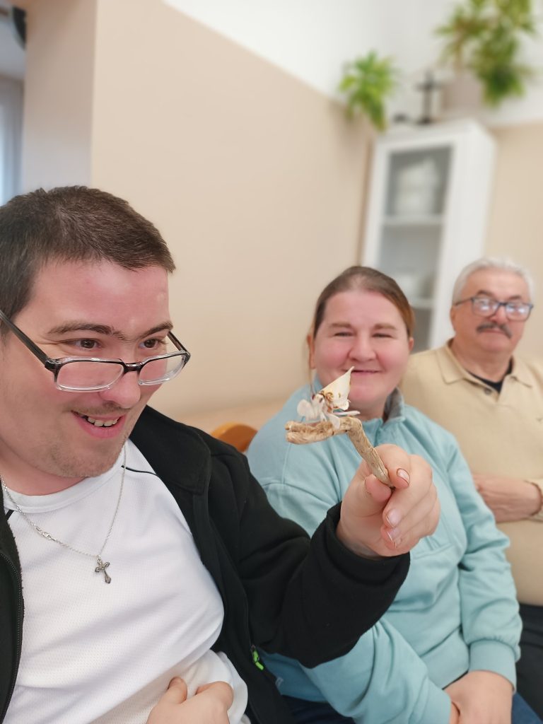 podopieczny trzyma modliszkę na gałązce