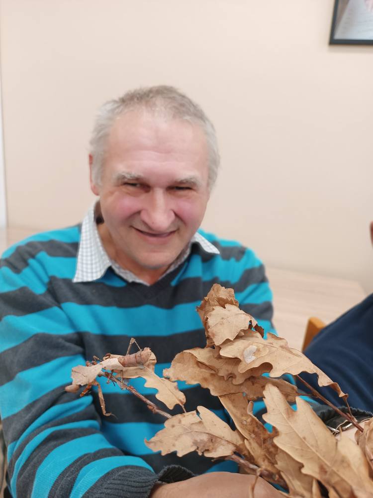 podopieczny trzyma modliszkę na gałązce