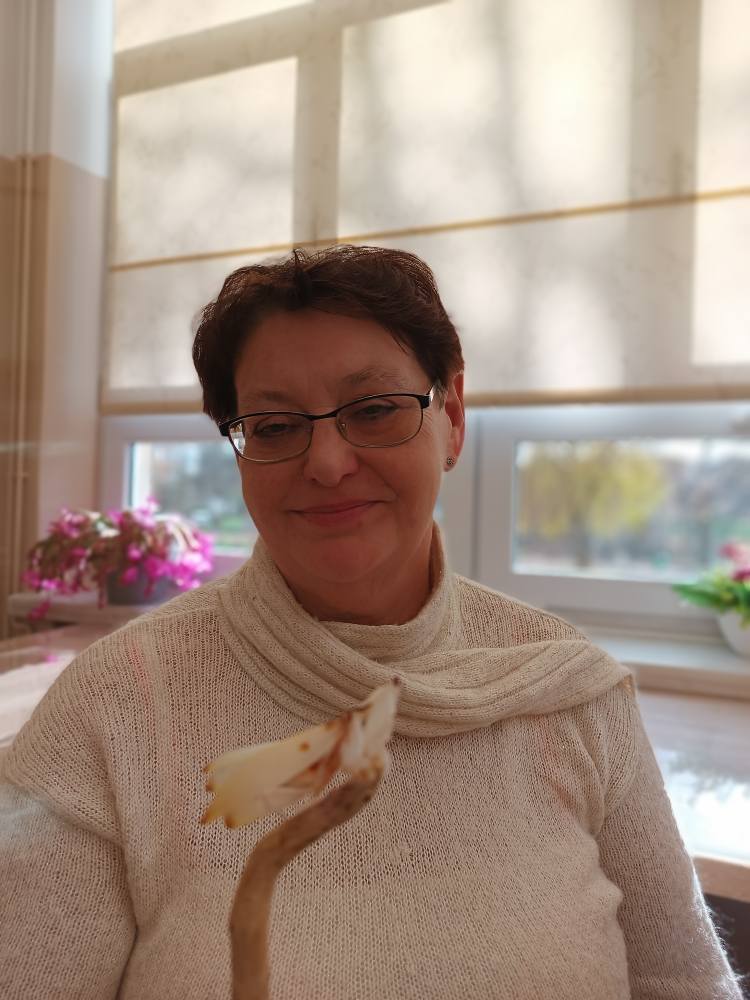 podopieczna trzyma modliszkę na gałązce