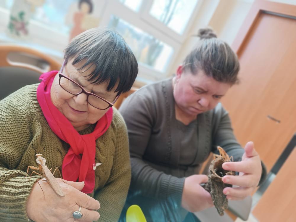 podopieczni przyglądają się żywym owadom