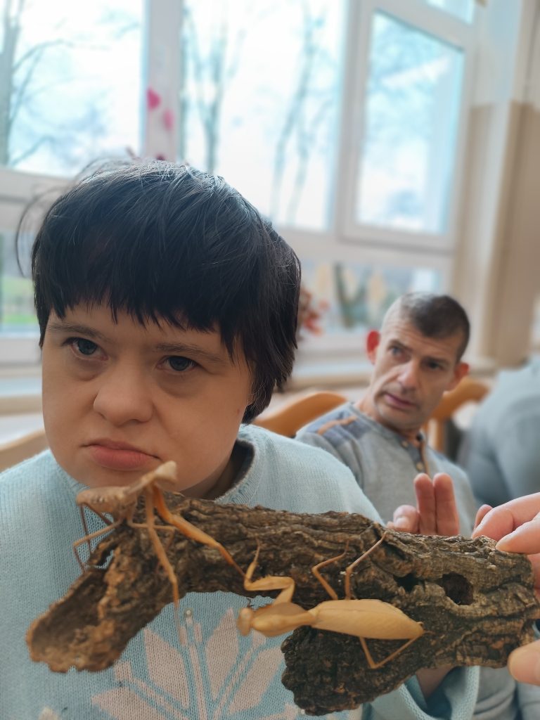 podopieczna trzyma owada na drewienku