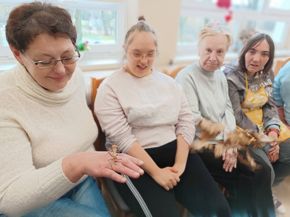 podopieczni przyglądają się żywemu okazowi modliszki
