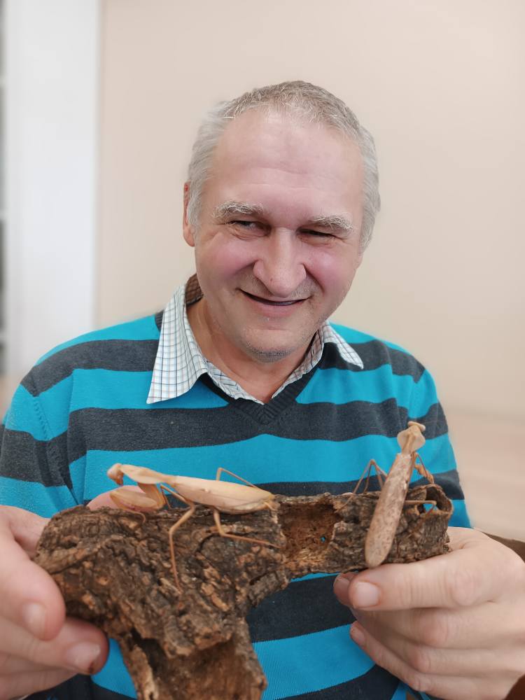 podopieczny trzyma owada na drewienku