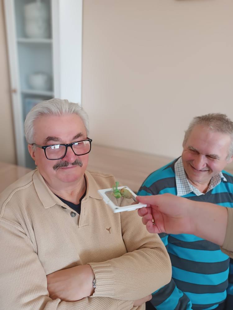 podopieczni przyglądają się żywemu okazowi modliszki