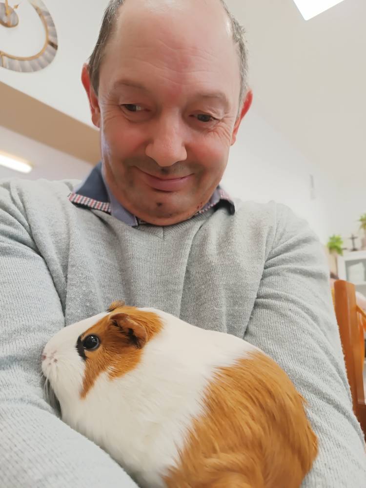 Podopieczny trzyma w rękach świnkę morską