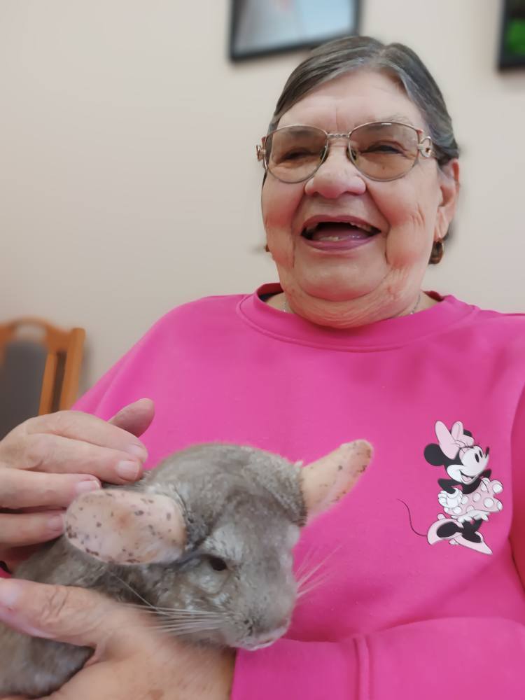 Podopieczna trzyma szynszyla