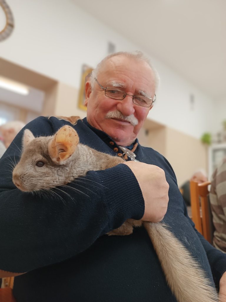 Podopieczny trzyma szynszyla