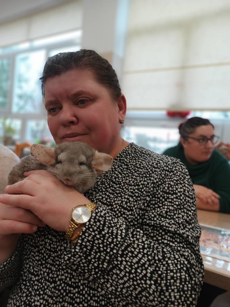 Podopieczna trzyma szynszyla