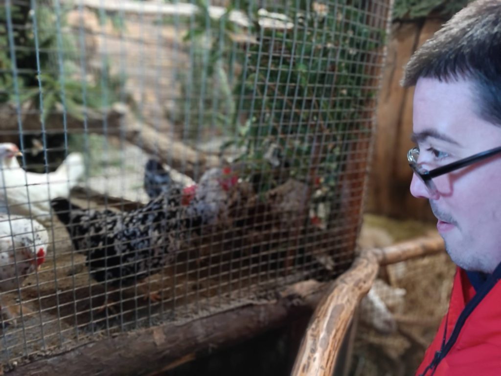 Podopieczny ogląda kury w żywej szopce