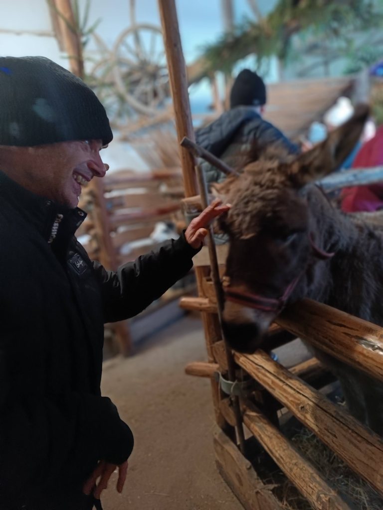 Podopieczny głaszcze osiołka w szopce