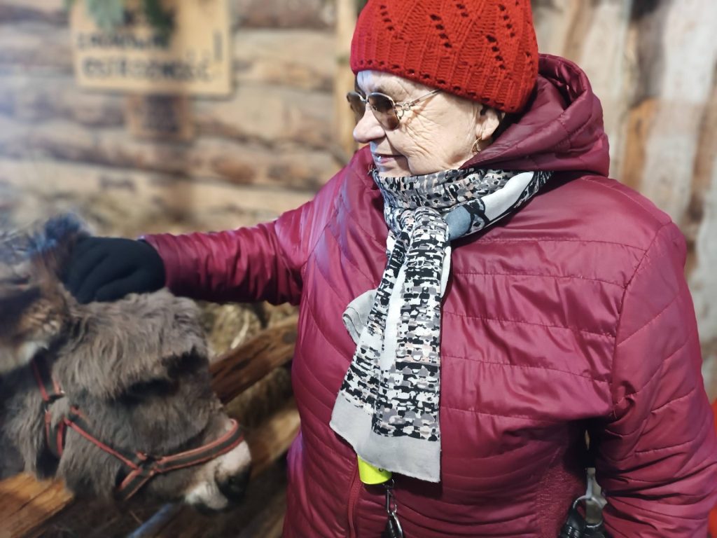 Podopieczna głaszcze osiołka w szopce