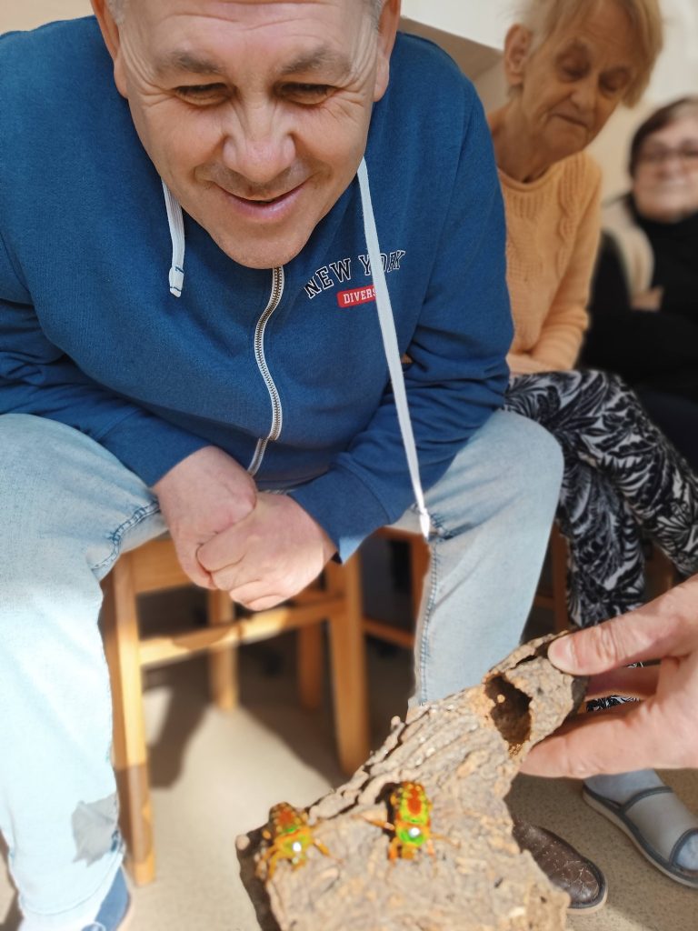 Podopieczny przygląda się chrząszczowi