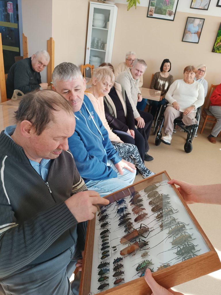 Podopieczni oglądają gablotkę z chrząszczami