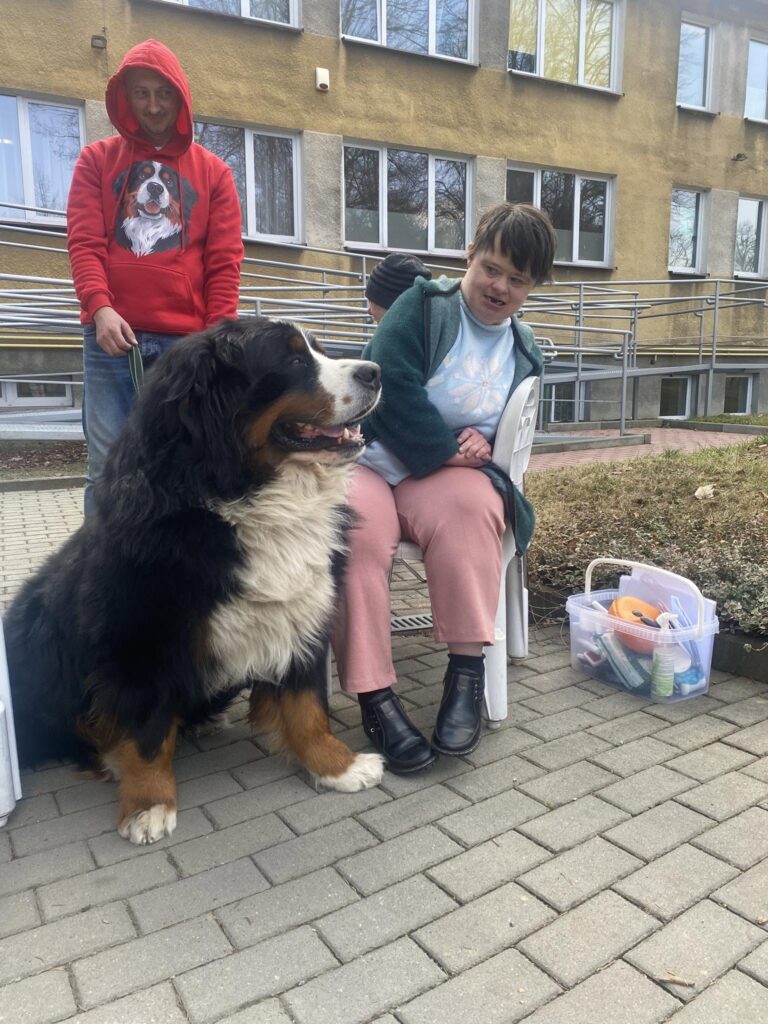trener nadzoruje interakcję podopiecznej i berneńskiego psa pasterskiego