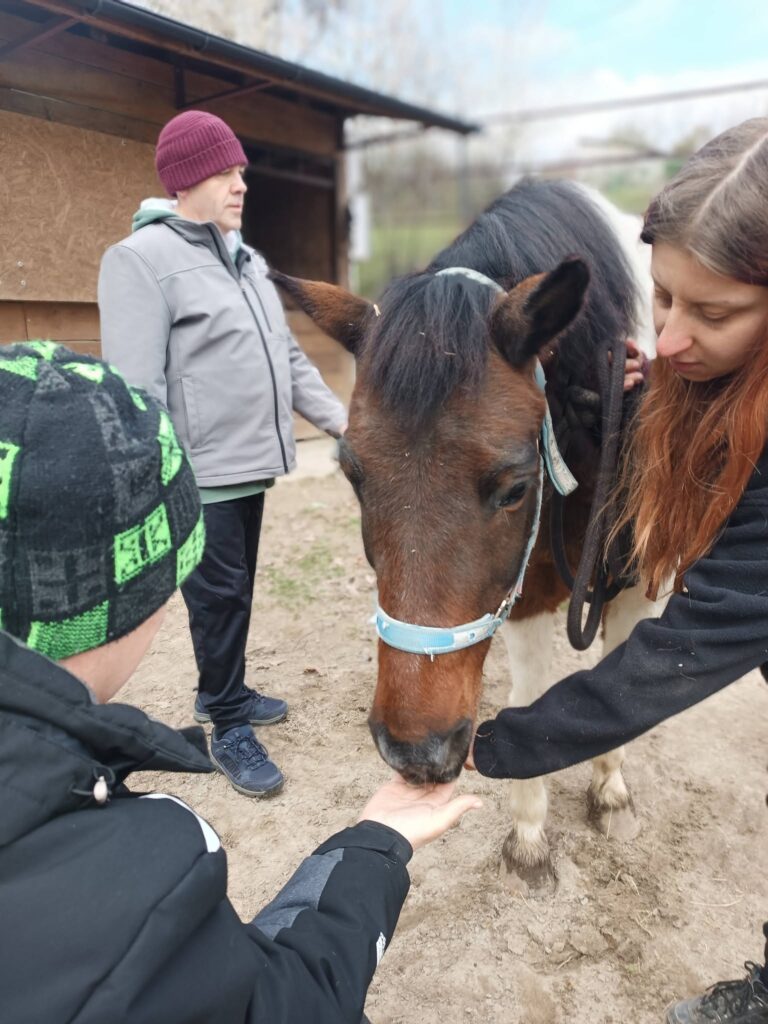 Podopieczni karmią konia