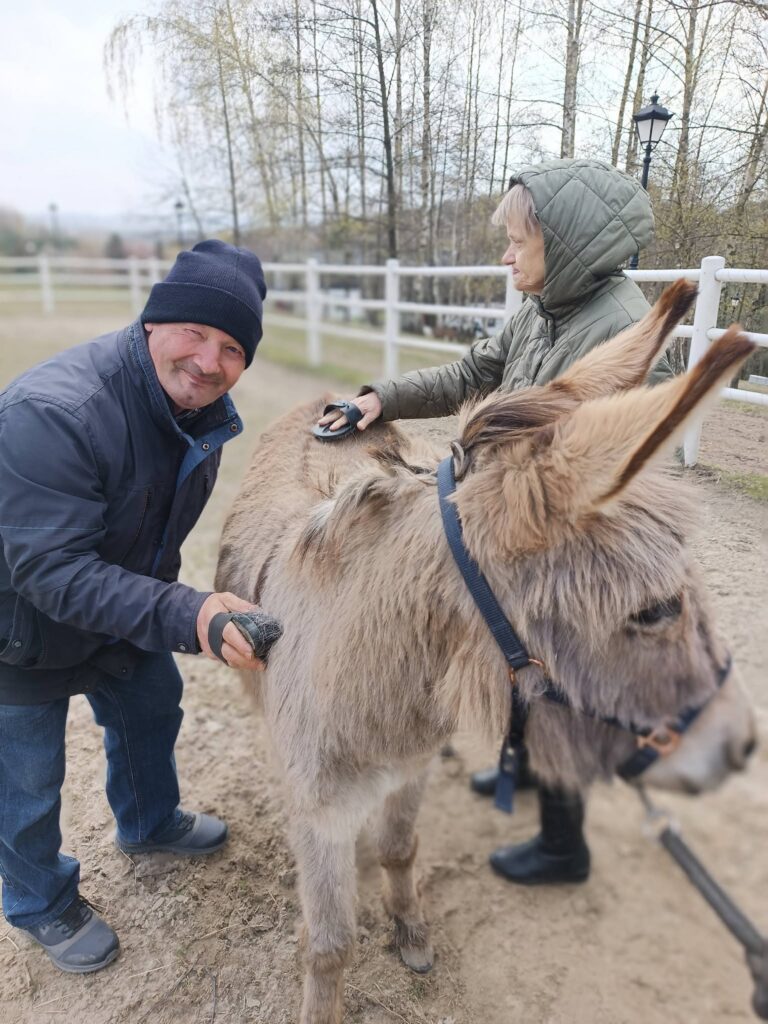 podopieczny czeszą osiołka