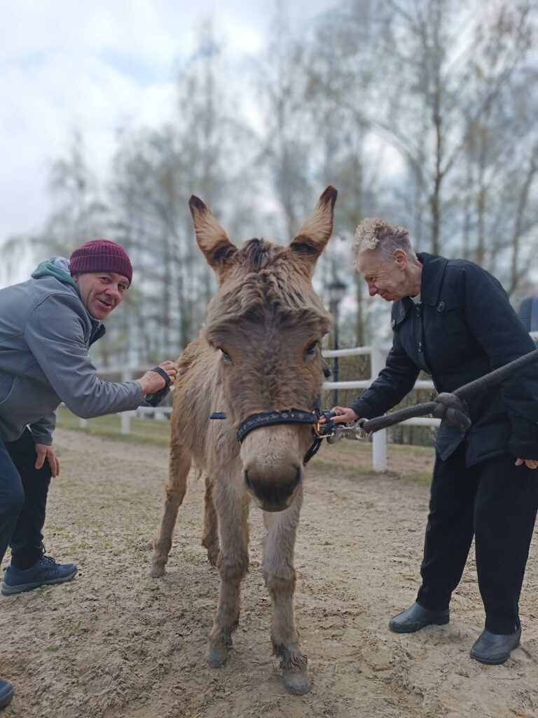 podopieczny czeszą osiołka