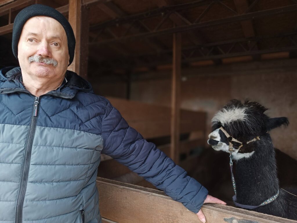 Podopieczny pozuje do zdjęcia z alpaką