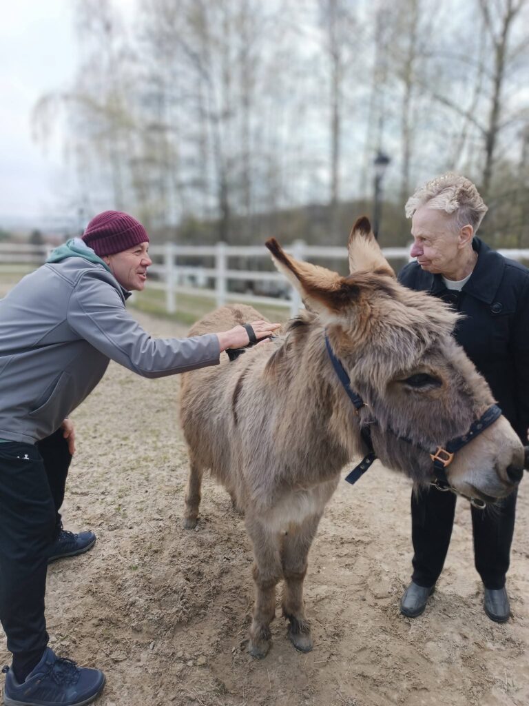 podopieczny czeszą osiołka