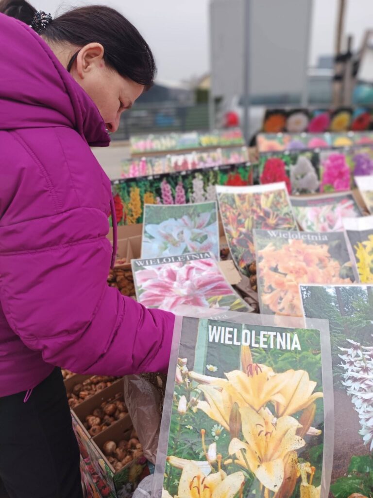 Podopieczna dokonuje wyboru sadzonek kwiatowych