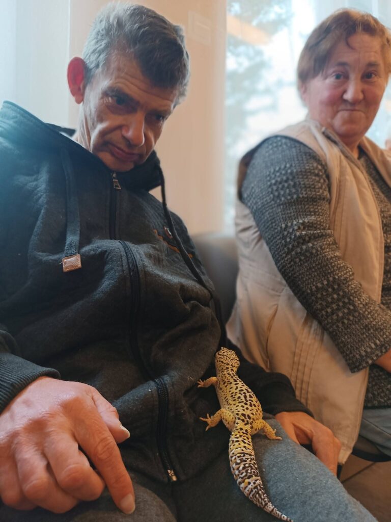 podopieczni przyglądają się jaszczurce