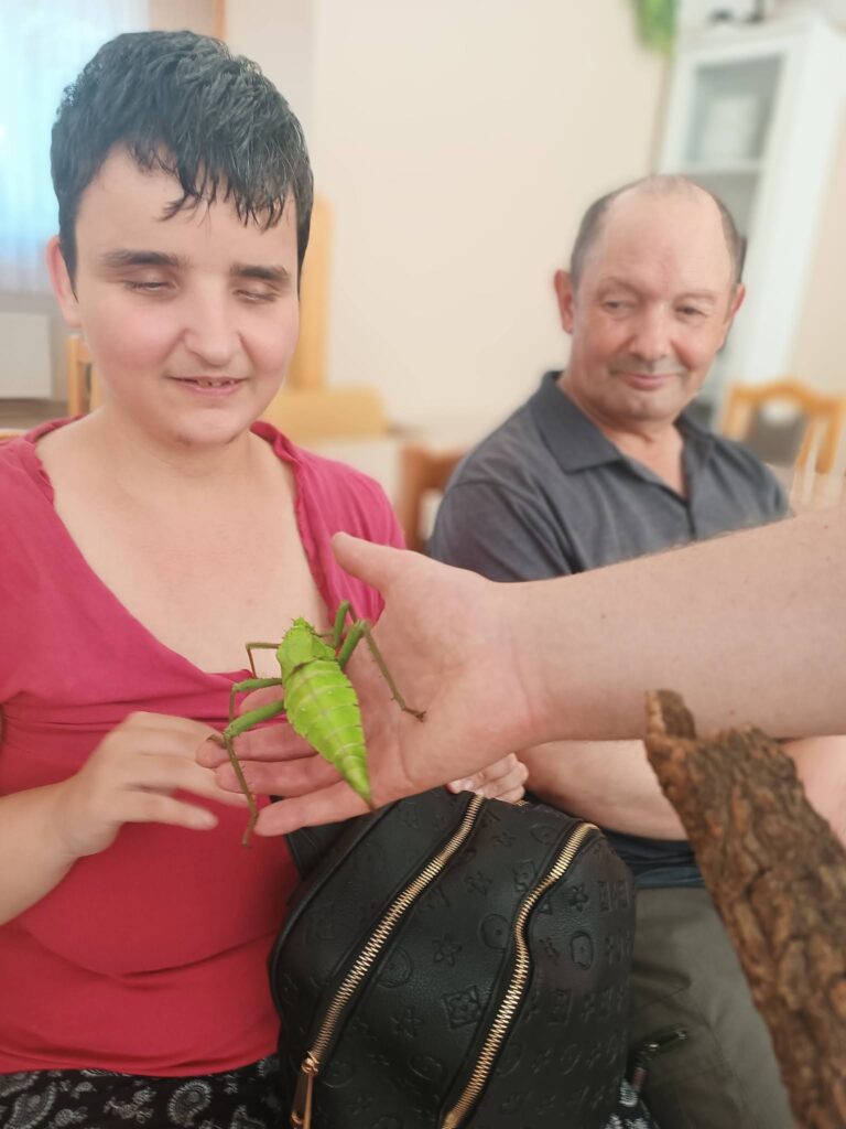 Podopieczni oglądają żywe okazy owadów