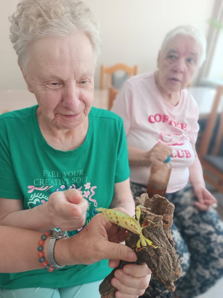Podopieczni oglądają żywe okazy owadów